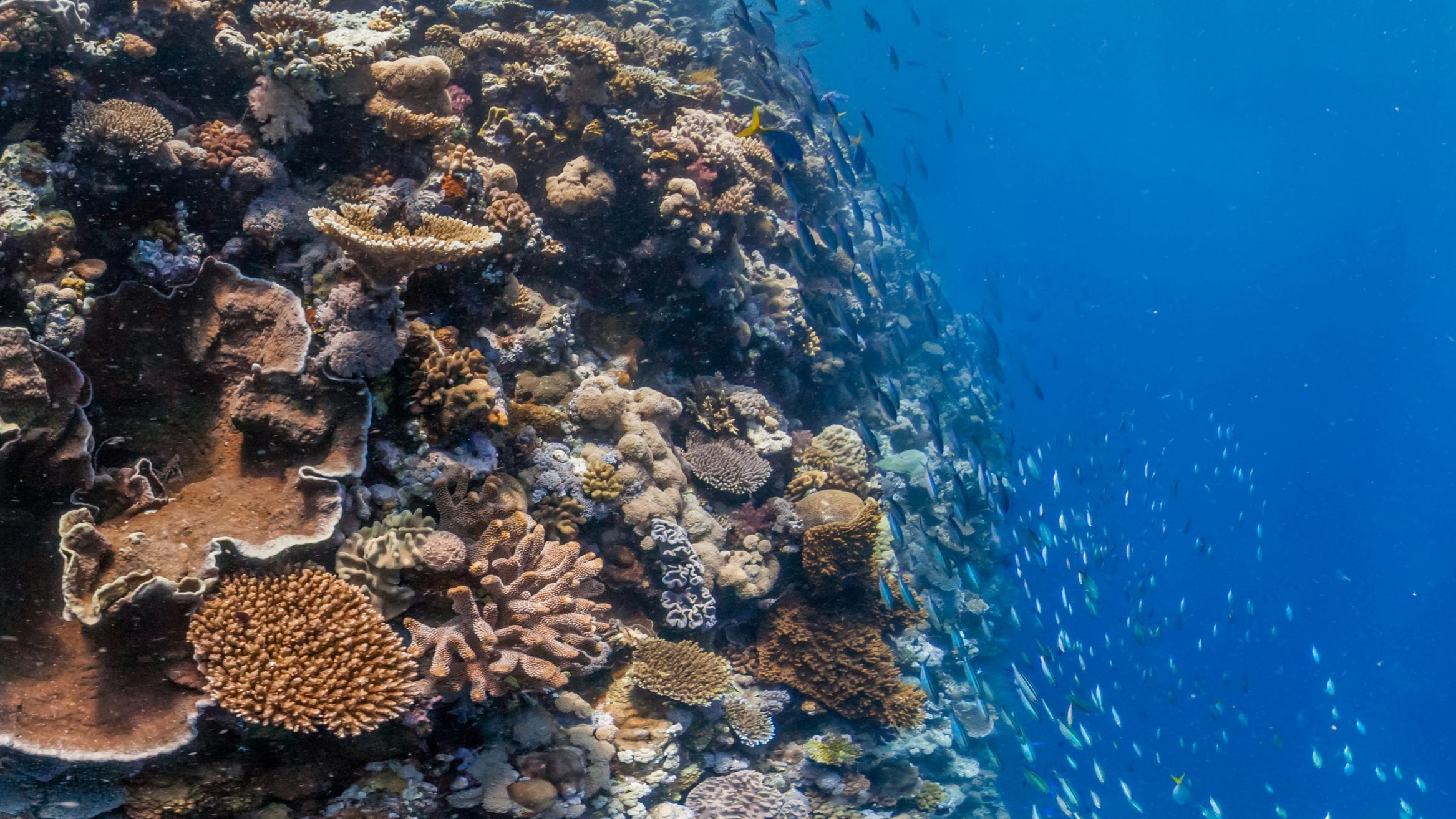Great Barrier Reef