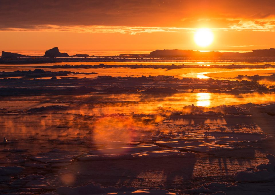 crabeater seals antarctica research vessel