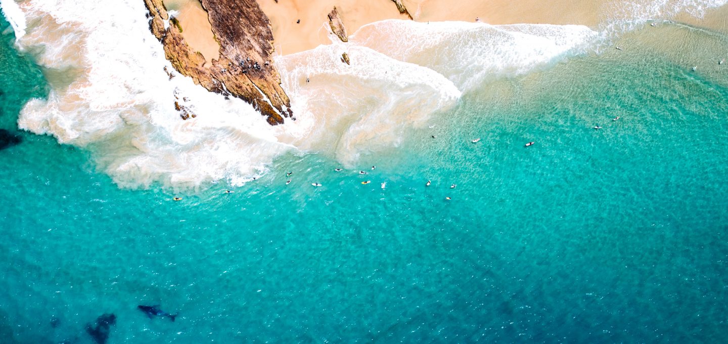 shark net shark culling Australia whale drone