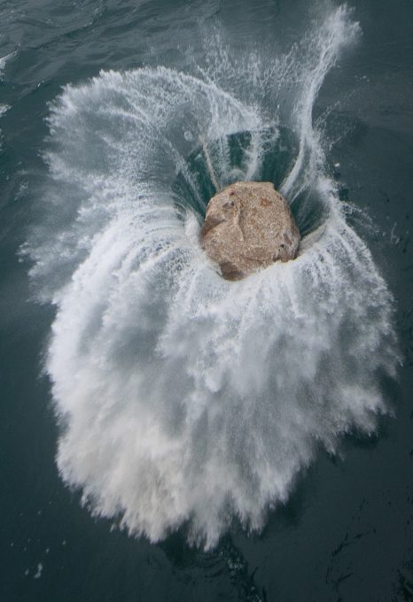Greenpeace Dogger Bank MPA illegal trawling activism