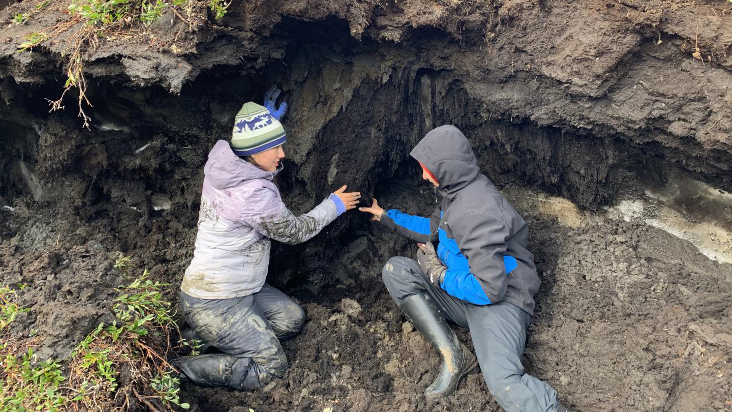Alaska permafrost study