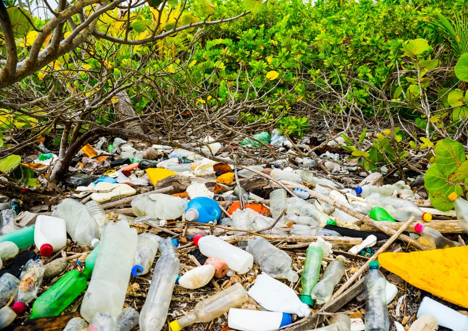 eXXpedition ocean plastic pollution waste