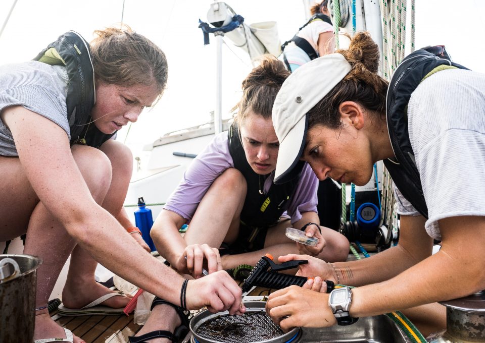eXXpedition ocean plastic pollution counting fragments