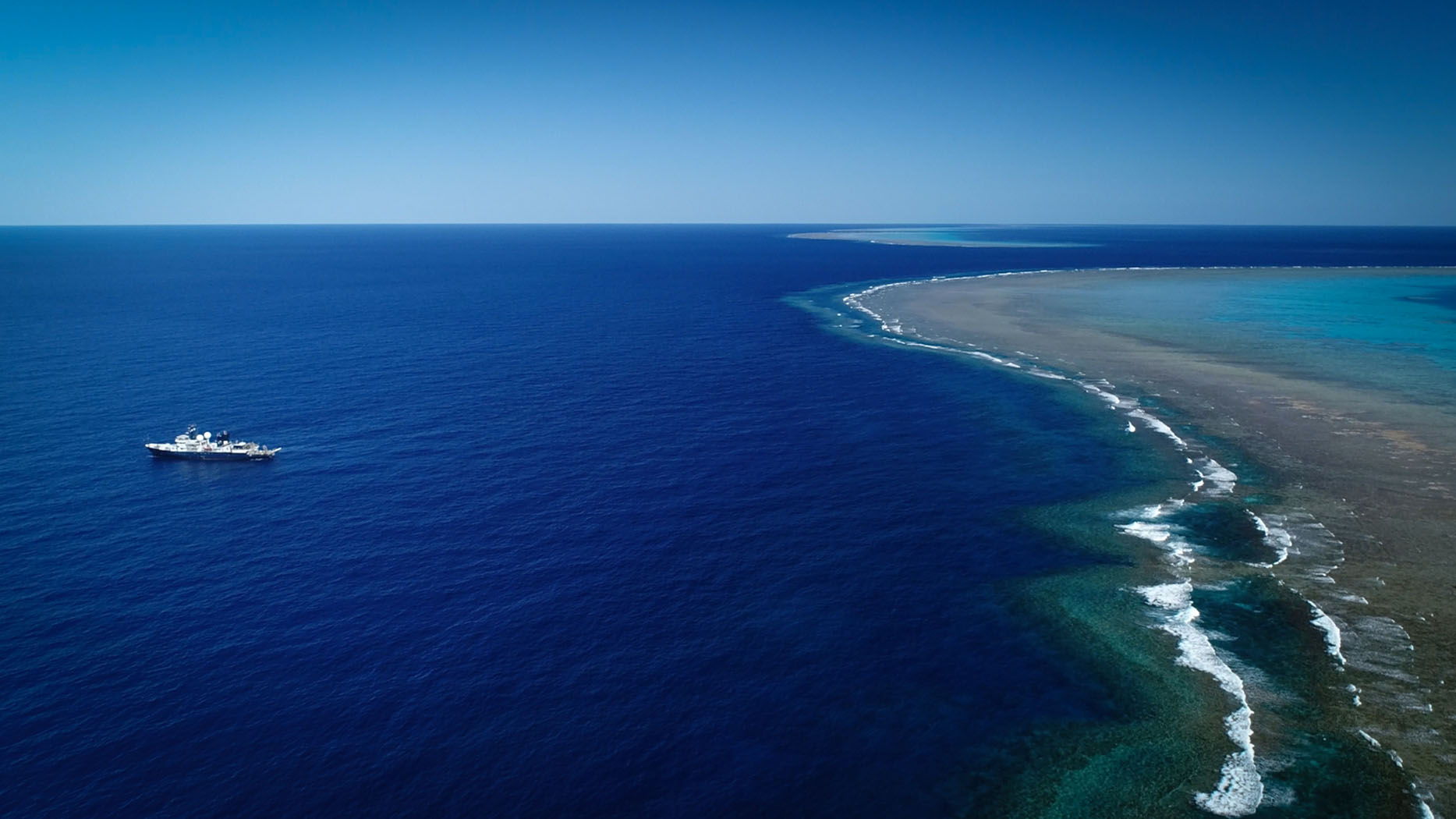 detached coral reef discovery Great Barrier Reef Schmidt Ocean Institute