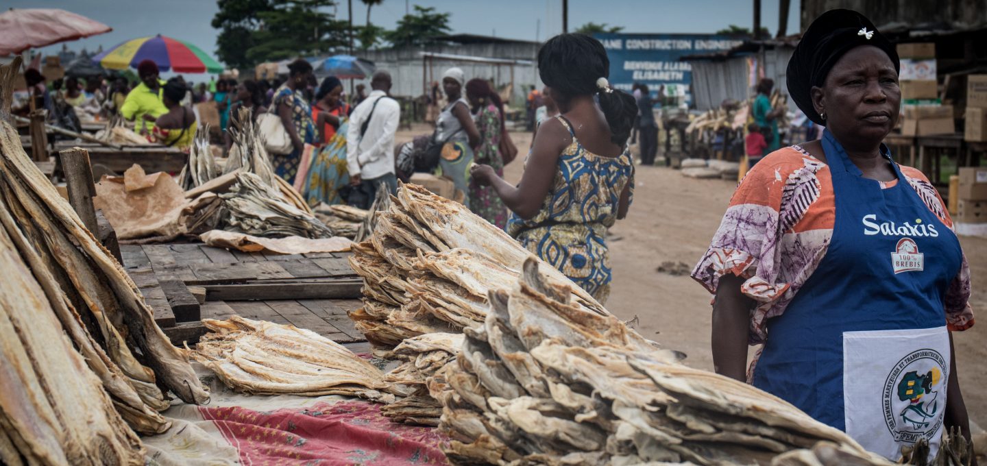Shark fishing Republic of Congo TRAFFIC market
