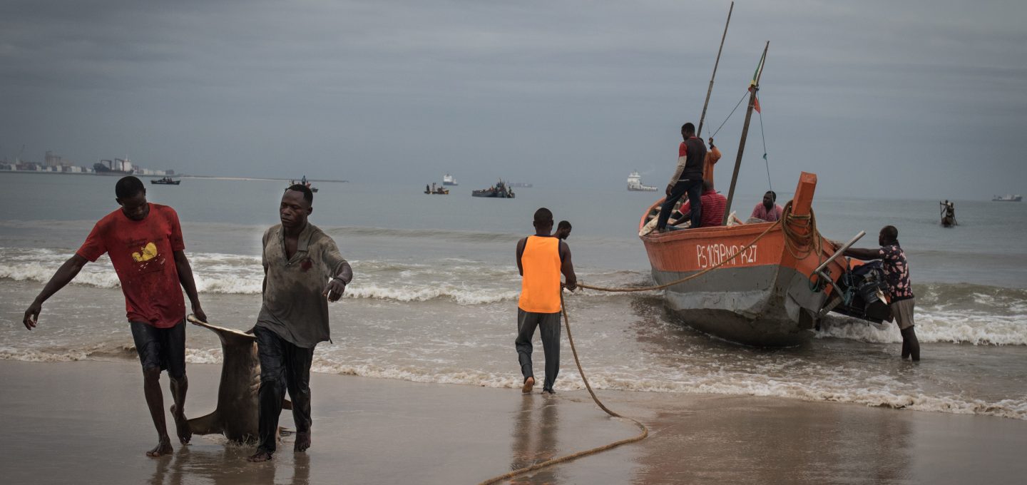 Shark fishing Republic of Congo TRAFFIC boats