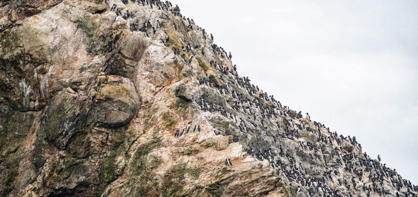 Triangle Island Ryan Tidman cliffs