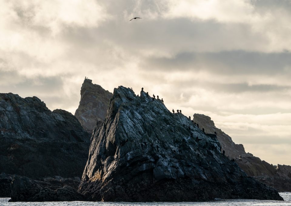 Triangle Island Ryan Tidman sunset