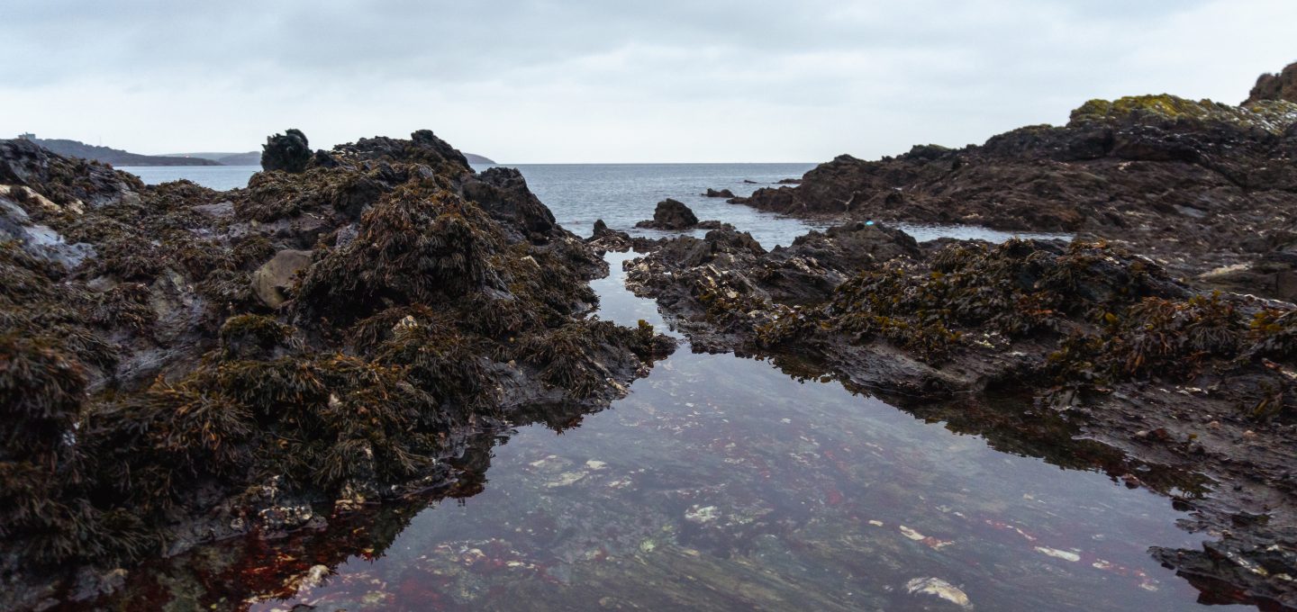 wild swimming cornwall rock pools