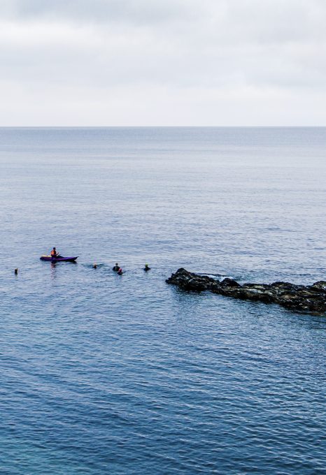wild swimming cornwall group