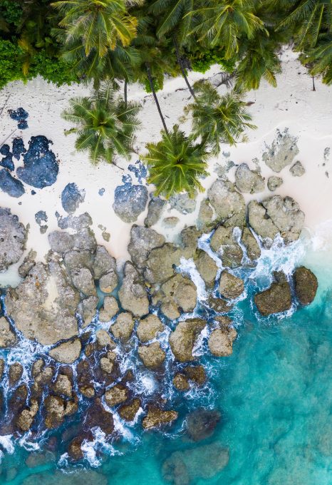 Bangkaru Island turtles drone
