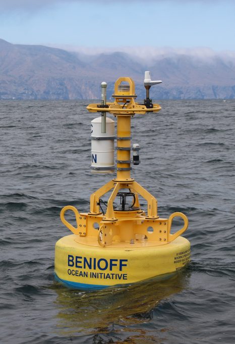 Whale safe ship strikes Santa Barbara Channel Benioff Ocean Initiative
