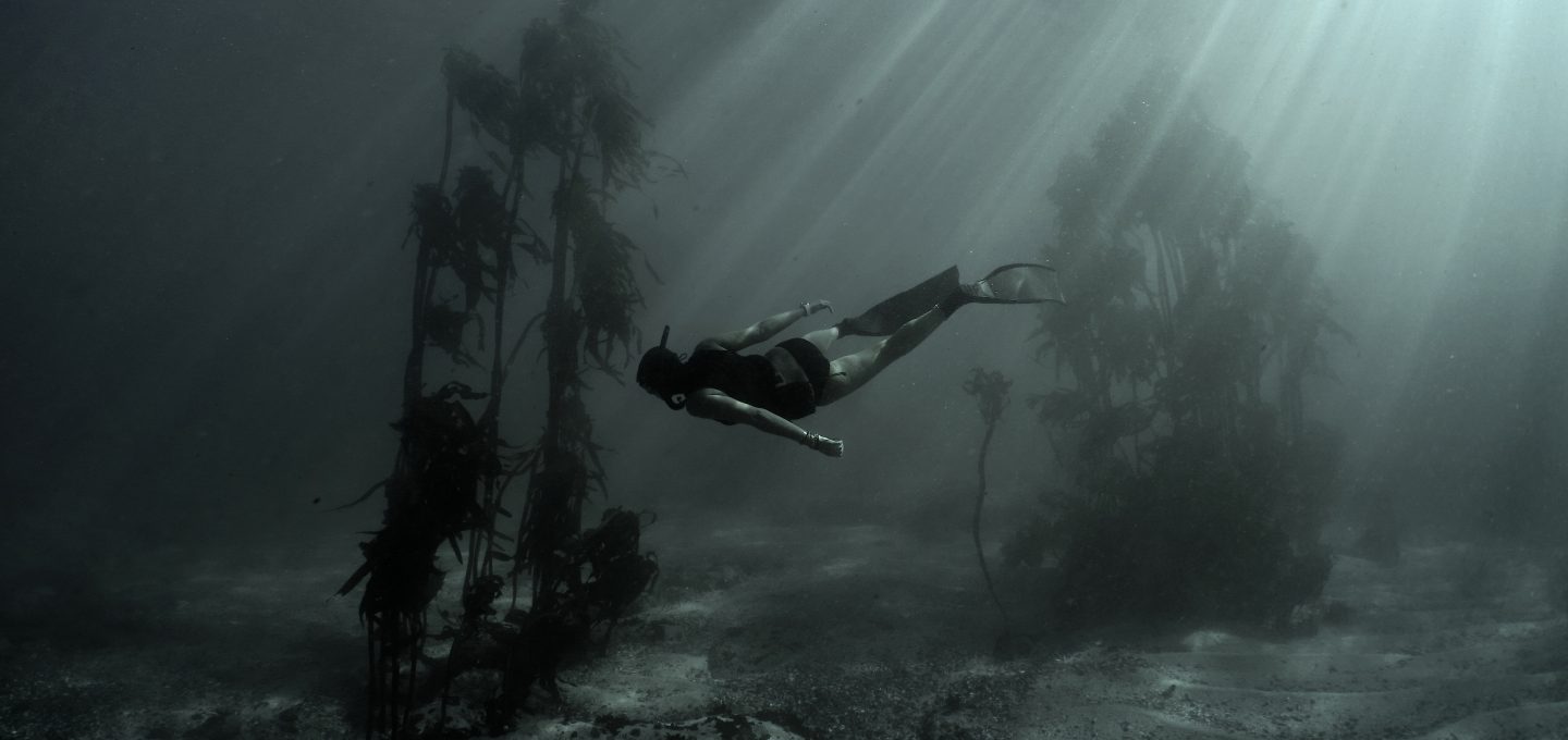 freediving octopus