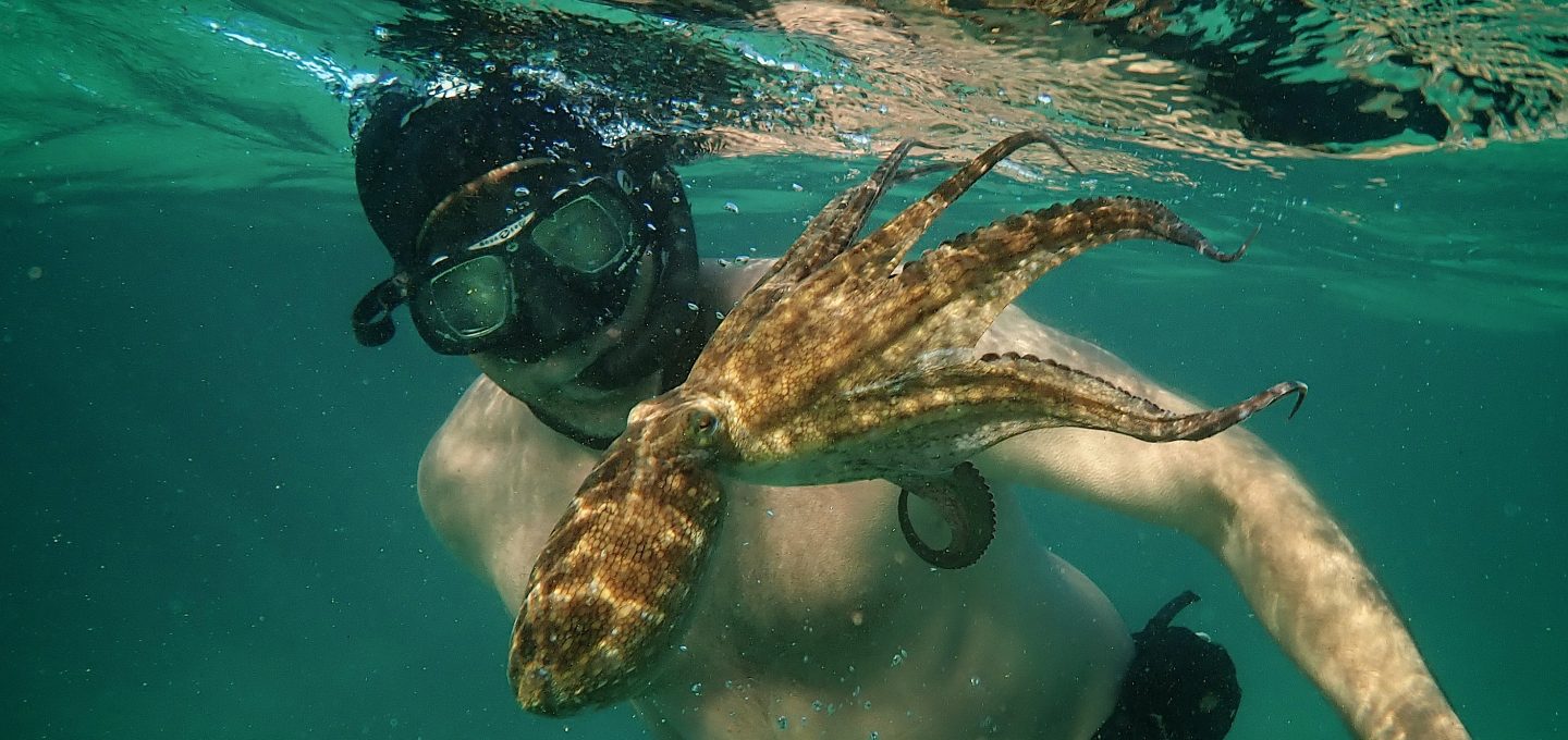 My Octopus Teacher