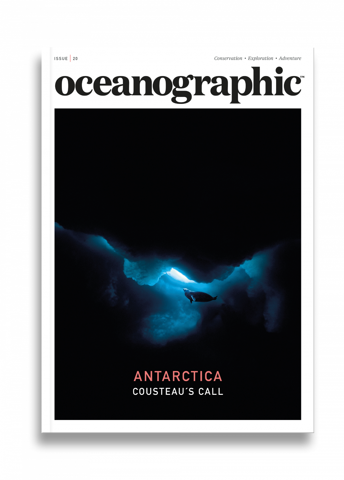 Scientists Stunned: What Polar Bears Say About Toxic Arctic. - dxznoni