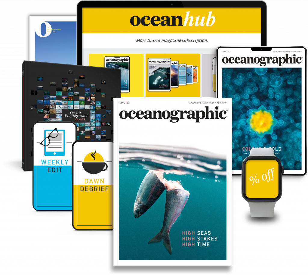 Hub_printdigital_collection-1