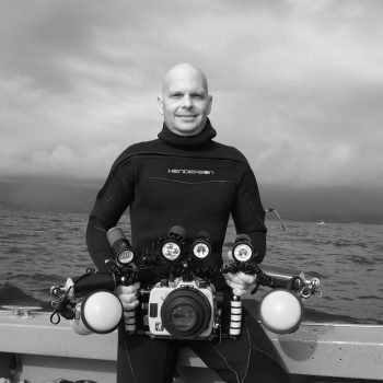 Ocean Portfolio Award, finalist, Steven Kovacs