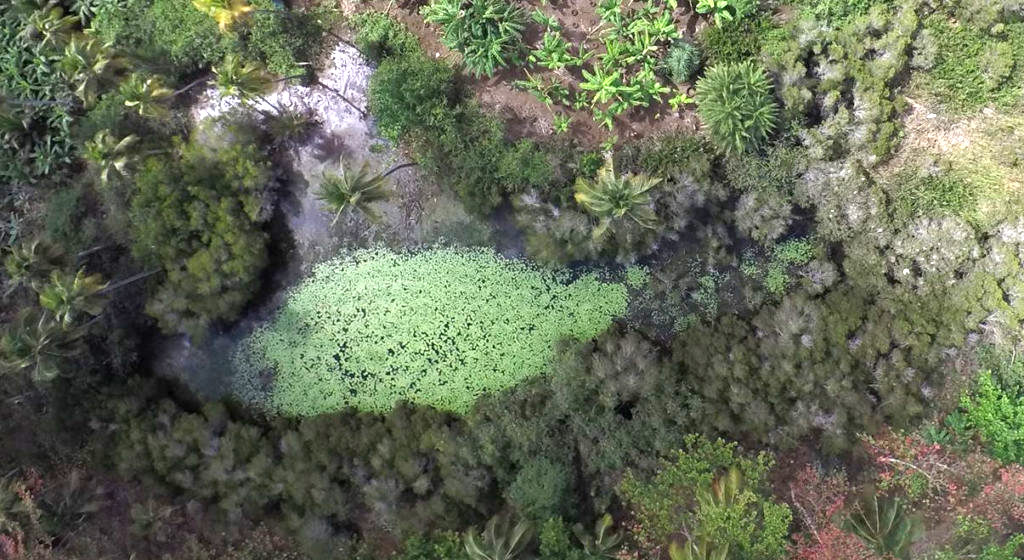 Journée internationale des zones humides : La lagune d’Ambato à Mayotte, petit joyau de la Biodiversité