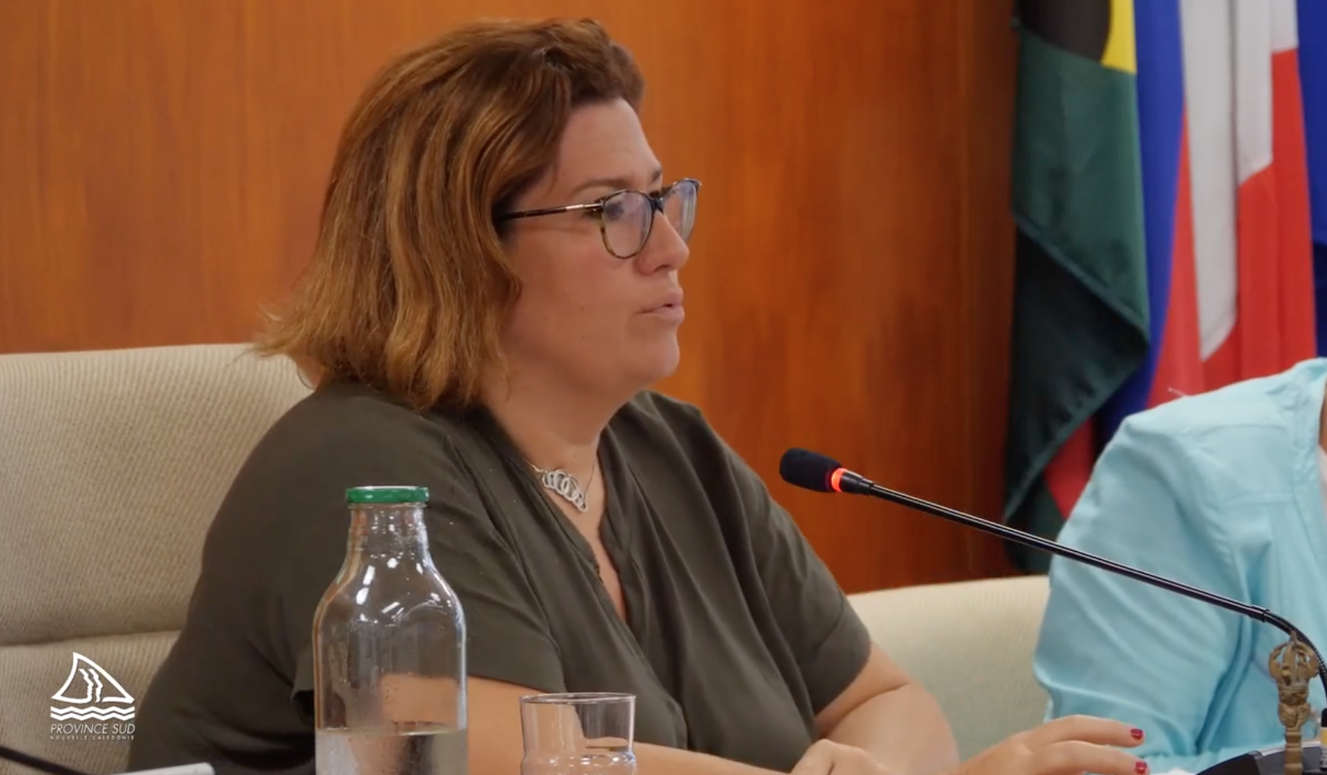 Nouvelle-Calédonie : Le Conseil des mines approuve le changement de contrôle de l&rsquo;Usine du Sud, ouverture du capital à de nouveaux industriels