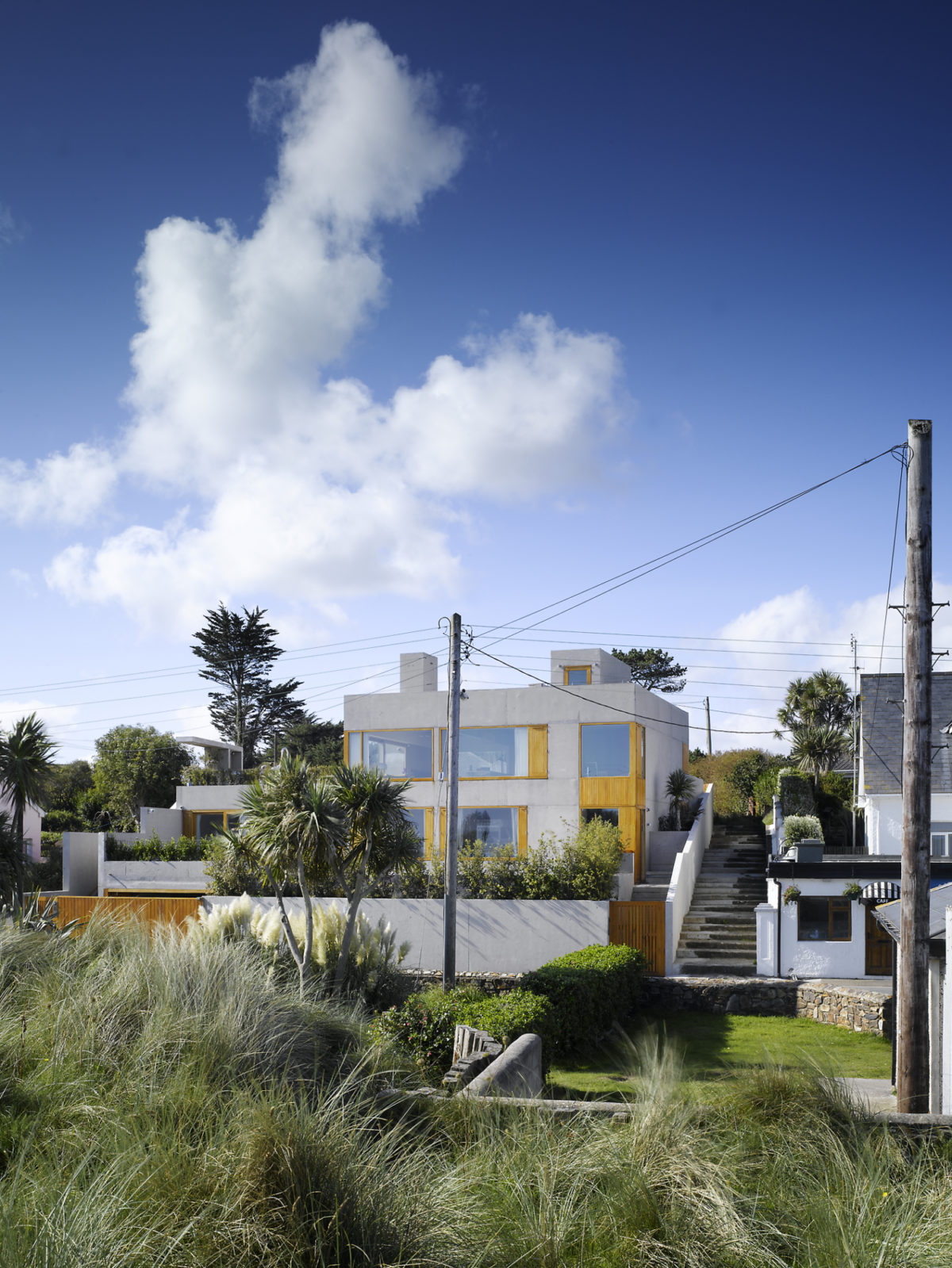 O’Donnell + Tuomey