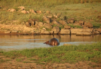 Alledaags Omdenken Safari 6