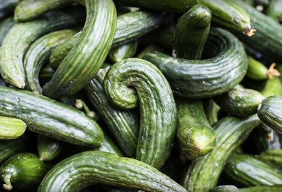 Kromkommer Thumbnail Website