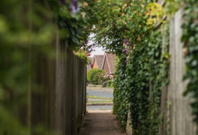 Photo By Zosia Korcz On Unsplash