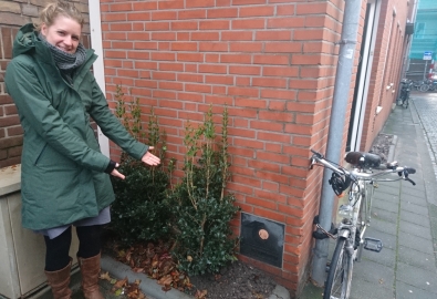 Wildplassers 1 Kleiner