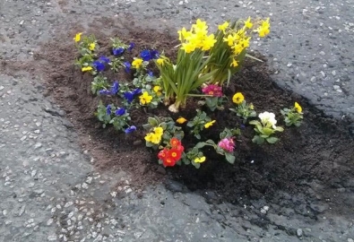Planting Flowers In Potholes 4