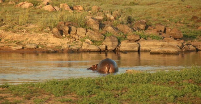 Alledaags Omdenken Safari 6