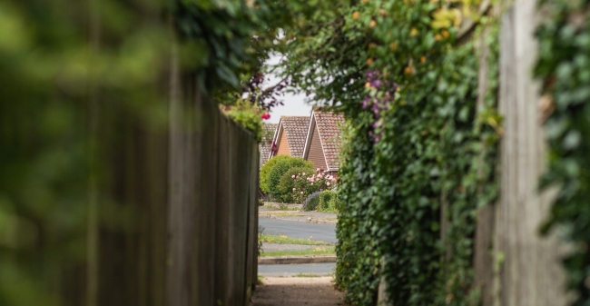 Photo By Zosia Korcz On Unsplash