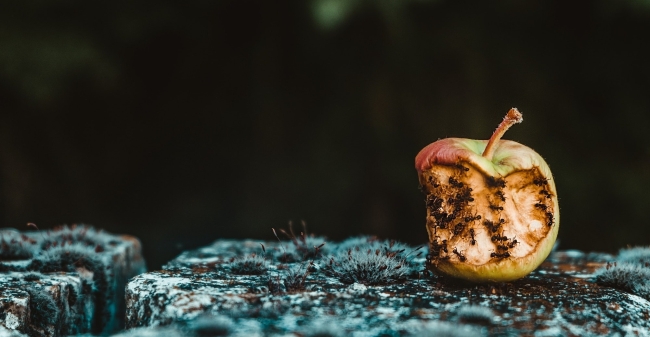 Maria Teneva Vf4 O1 Owt Pnk Unsplash