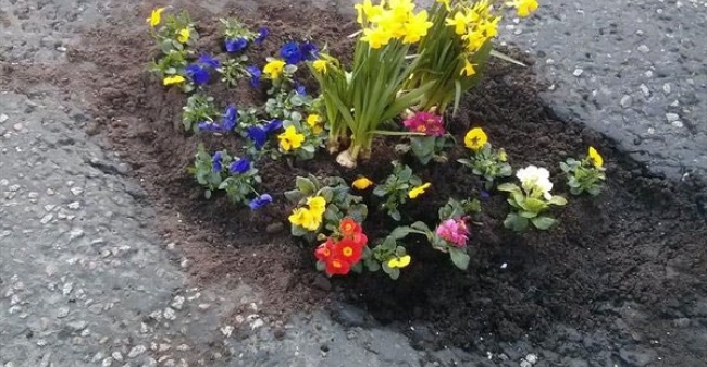 Planting Flowers In Potholes 4