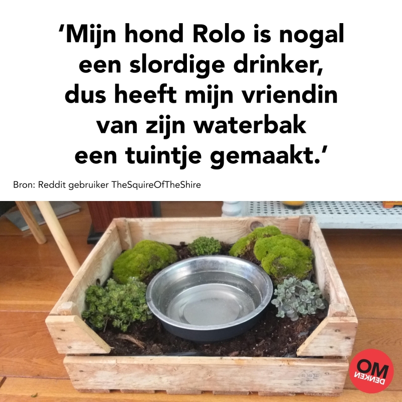 Drinktuintje Tekst