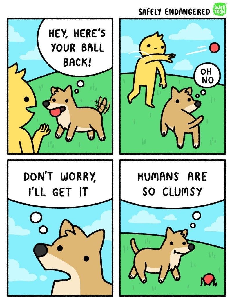 Honden En Ballen