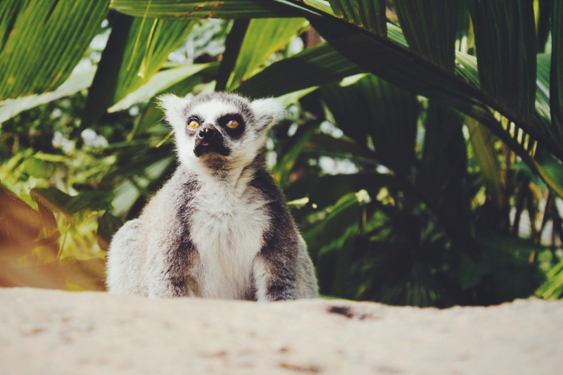 Meedenker Niet Voeren Aub Kleiner
