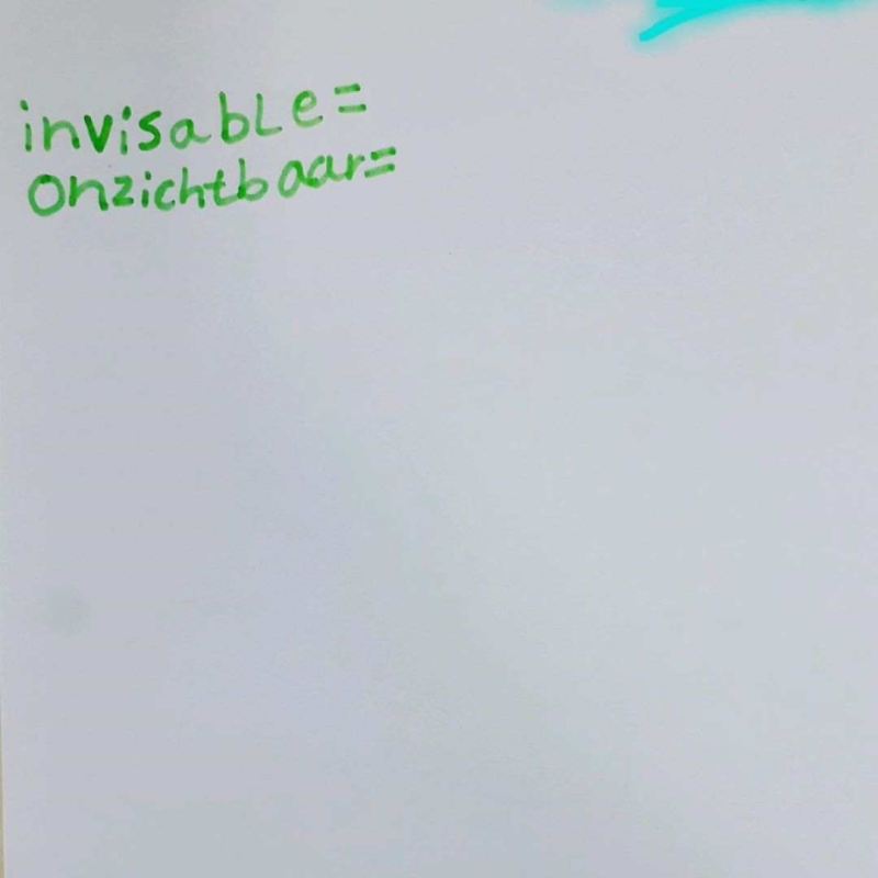 Meester Mark Onzichtbaar