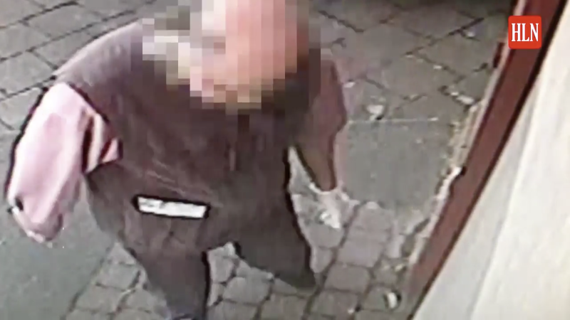 Muizen In De Bakkerij Camerabeelden Kleiner