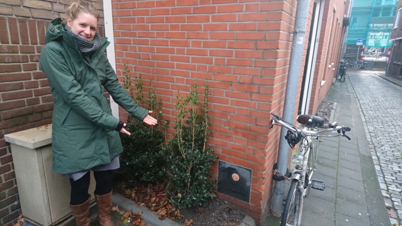 Wildplassers 1 Kleiner