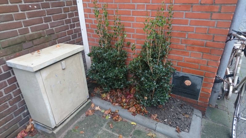 Wildplassers 2 Kleiner