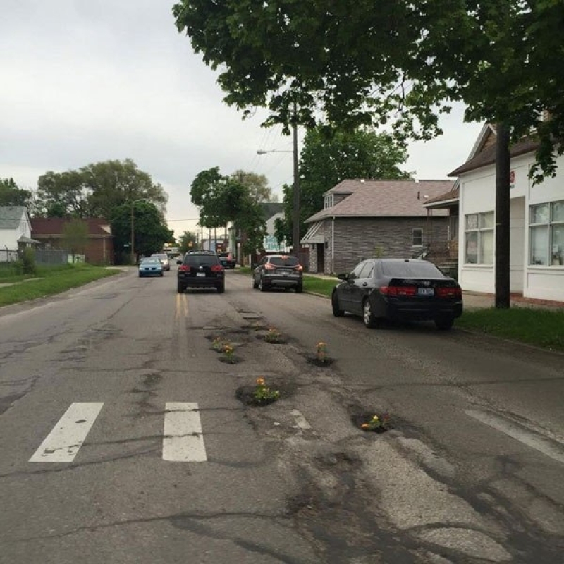 Planting Flowers In Potholes 2