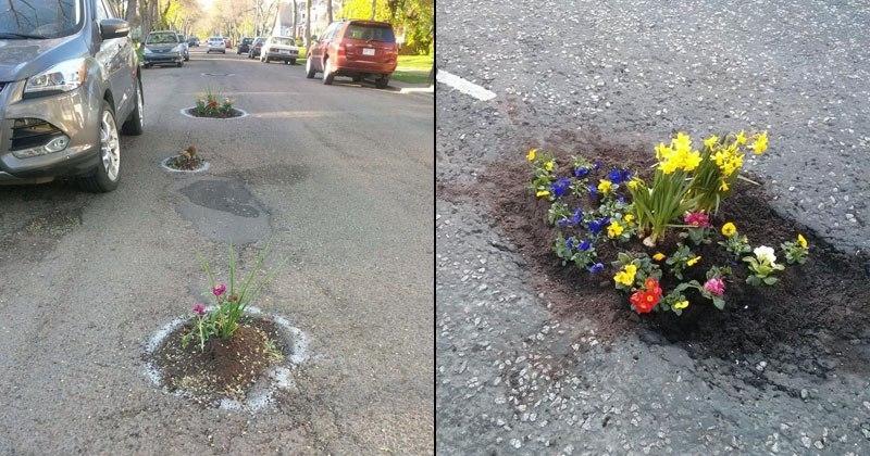 Planting Flowers In Potholes
