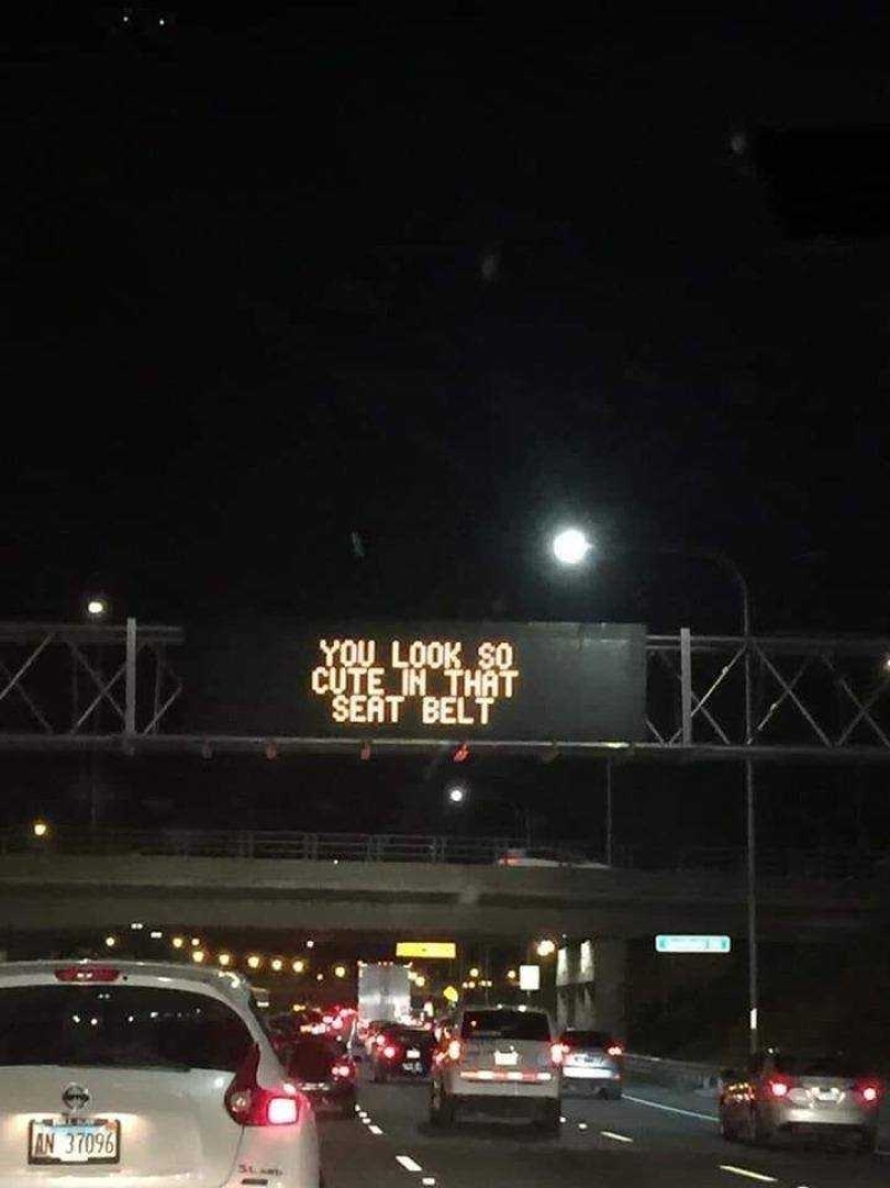 Youlooksocuteinthatseatbelt