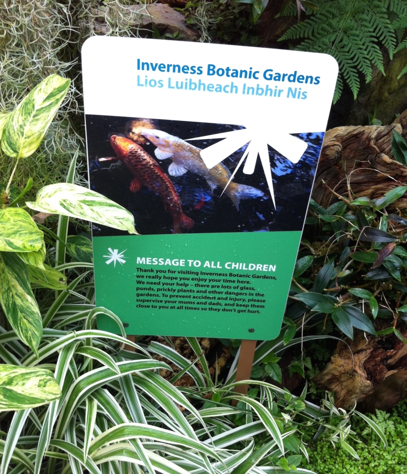 We Hebben Hulp Nodig