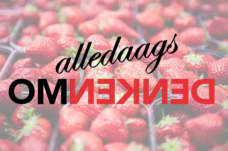 Alledaags  Omdenken  Zelfpluktuin Logo