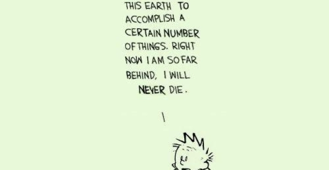 Calvin Hobbes