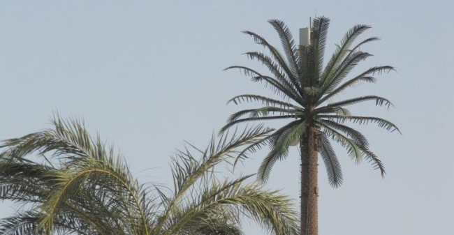 Gsm Mast In  Hurghada
