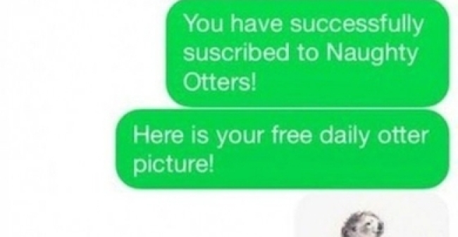 Ondeugende Otters Klein