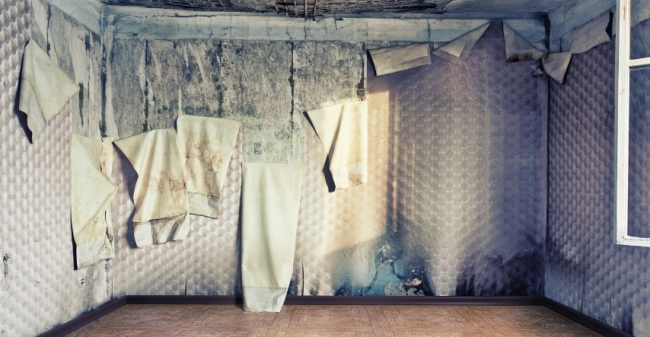 Smerige Huurders Gezocht