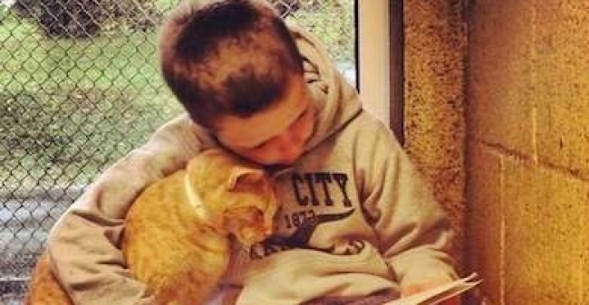 Voorlezen Aan Katten 1 Klein